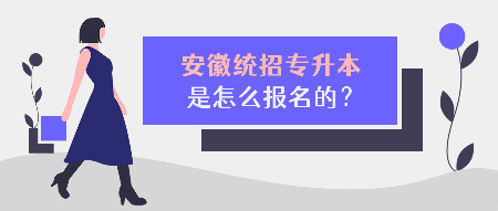 安徽统招专升本怎么报名？