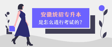 安徽全日制专升本是怎么进行考试的