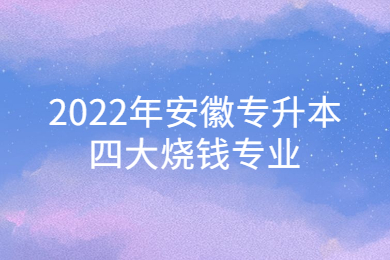 2022年安徽专升本四大烧钱专业