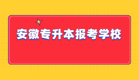 安徽专升本报考学校