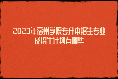 2023年宿州学院专升本招生专业及招生计划有哪些？