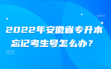 2022年安徽省专升本忘记考生号怎么办？