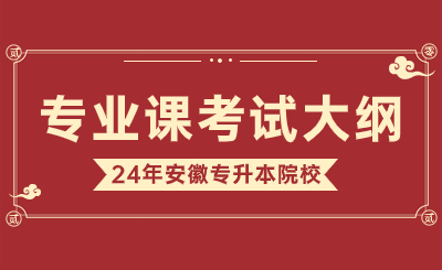 2024年安徽新华学院专升本电子商务《管理学原理》考试大纲