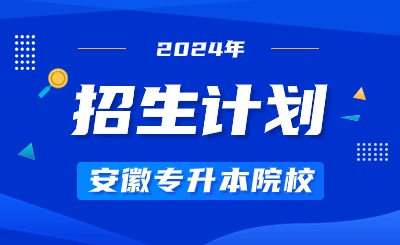 2024年皖西学院专升本招生计划