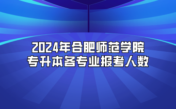 2024年合肥师范学院专升本各专业报考人数