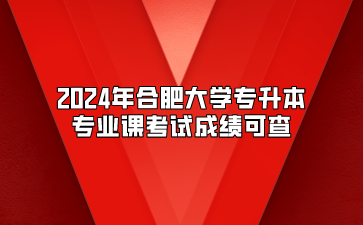 2024年合肥大学专升本专业课考试成绩可查