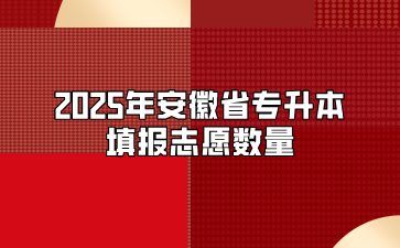 2025年安徽省专升本填报志愿数量