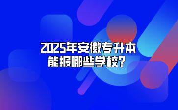 2025年安徽专升本能报哪些学校？